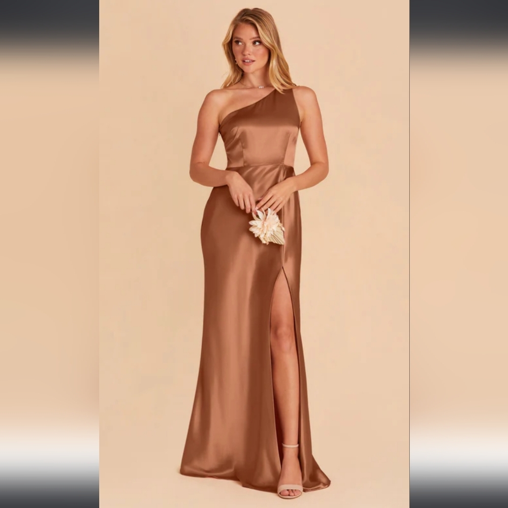 Birdy Grey Kira Satin Dress - Rust Colour